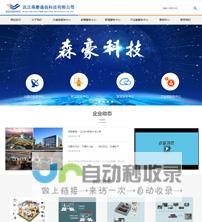 武汉网站建设：提升品牌形象，引领数字化转型