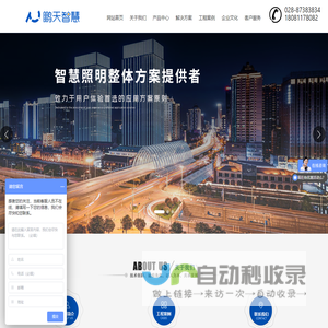 GPRS无线路灯监控管理系统_PT2007C型路灯控制器_四川鹏天科技发展有限公司